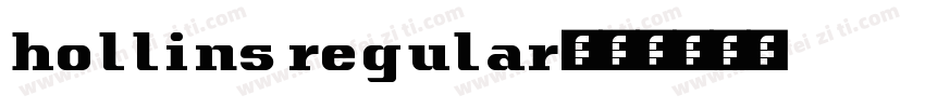 hollins regular字体转换